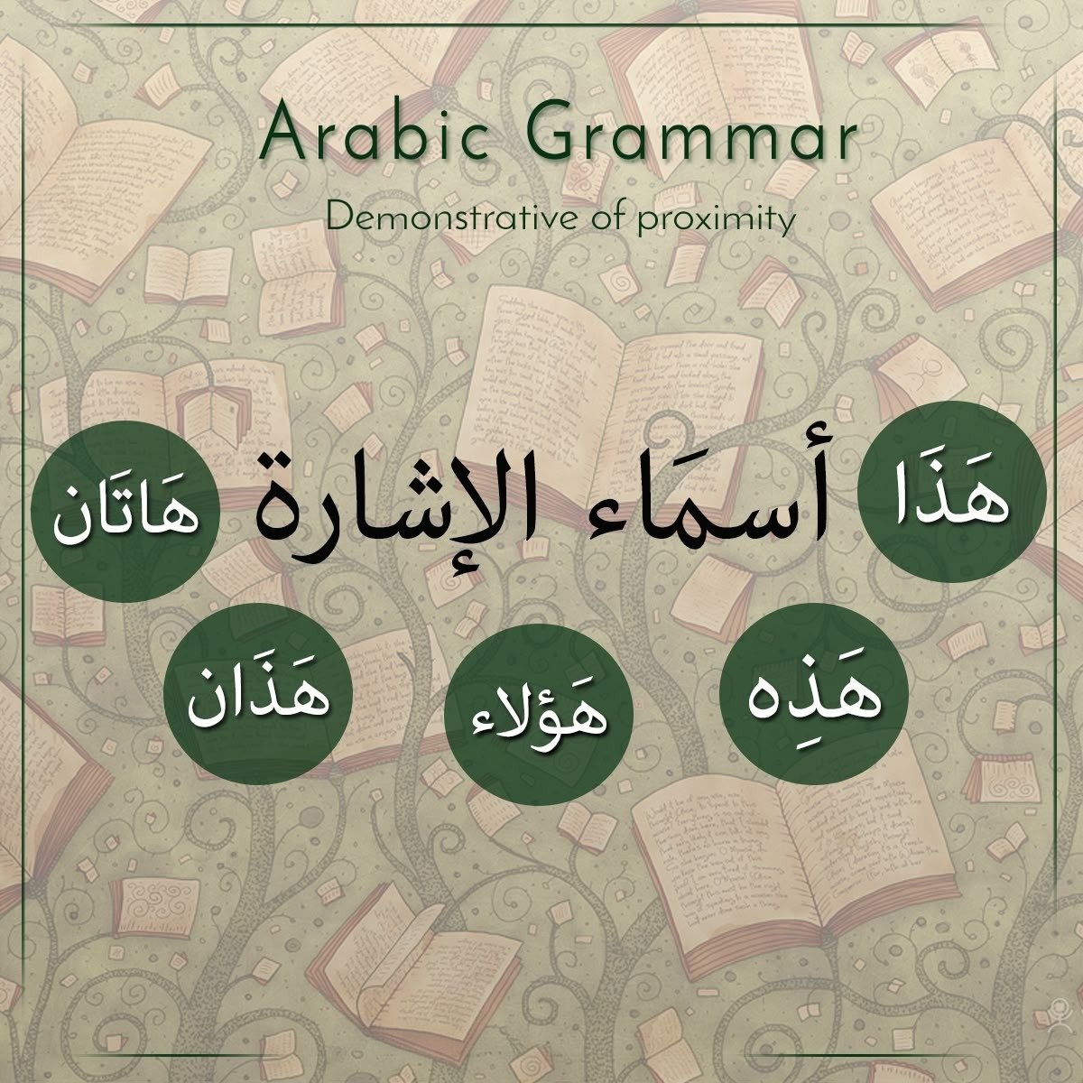 Arabic study materials for Quranic grammar